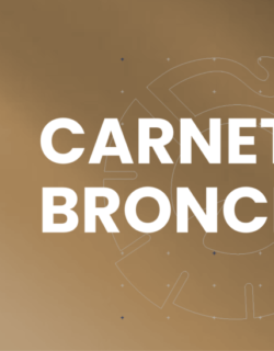 CARNET BRONCE