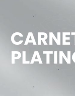 CARNET PLATINO
